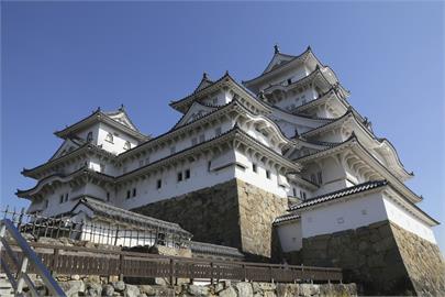 日本文化遺產「姬路城」　當地政府有意調高外國客票價　價格漲4倍