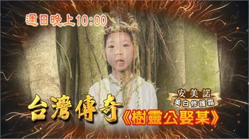 《台灣傳奇》神樹下挖出祕密 玉印變成殺人兇手？