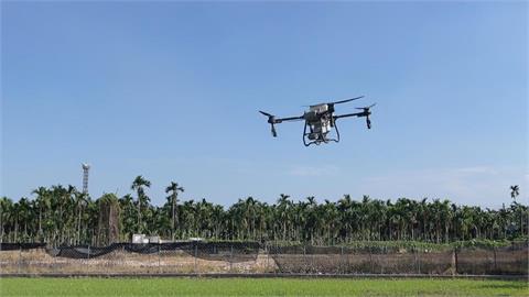 植保無人機高空精準飛行 定點噴灑農藥獲口碑