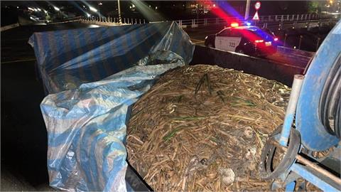 宵小趁雨天竊蒜頭　虎尾警攔查圍捕人贓俱獲