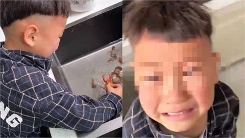 小龍蝦寵物被端上桌！5歲萌孩大哭跟媽翻臉　母親無奈：他吃挺多的