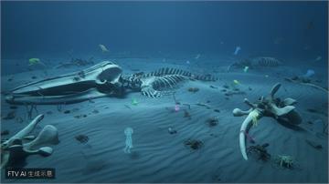 澳洲外海驚見全球最大「鯨魚墳場」！深海萬具遺骸孕育神秘生態系