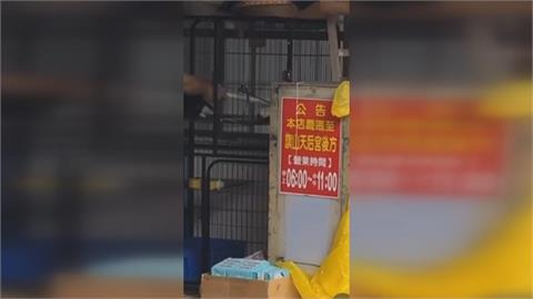 太殘忍！　高雄店家涉虐貓遭「蛋洗」　「持棍猛戳打」影片ＰＯ網引撻伐