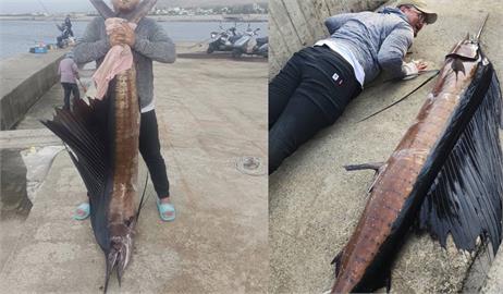 快新聞／巨型旗魚竟在台東富岡漁港釣到　身長「2.4公尺比人還高」