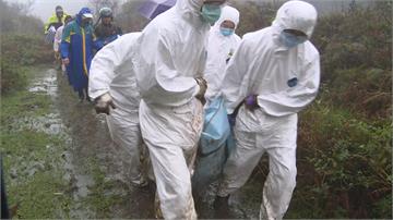 快新聞／陽明山擎天崗又1隻「小牛」死亡 動保處急送家衛所解剖檢查