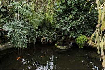 落水20分鐘無人發現！竹北幼兒園女童溺斃　「親近自然」成致命陷阱