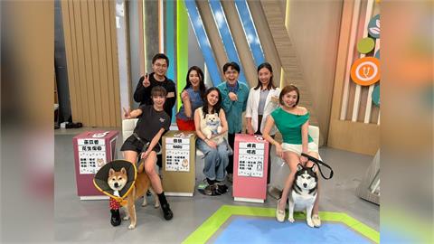 陳真愛犬領養就罹患皮膚病！砸錢買保健品餓到吐胃酸也不肯吃