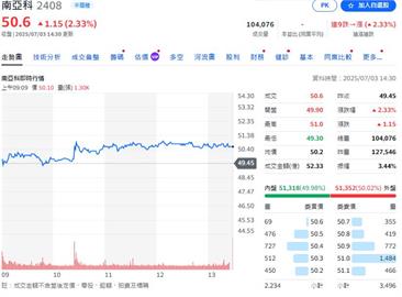 南亞科技2025年6月份合併營收新台幣40.74億元