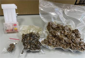 溯源調查賣大麻　北上桃園查扣逾2公斤價值約百萬元
