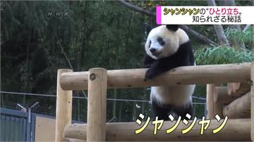 貓熊香香滿周歲 動物園幫「轉大人」