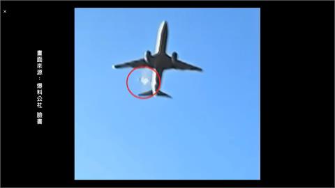 濟州航空疑遇鳥擊失事　專家：恐因此系統全失效
