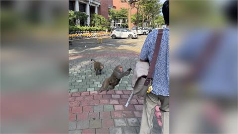 中山大學震撼教育！　大學長闖新生報到飛撲搶食