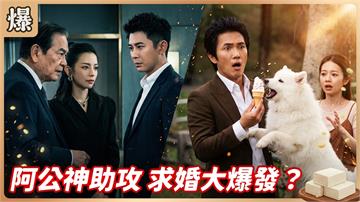 《豆腐媽媽-EP220精彩片段》阿公神助攻 求婚大爆發？ 