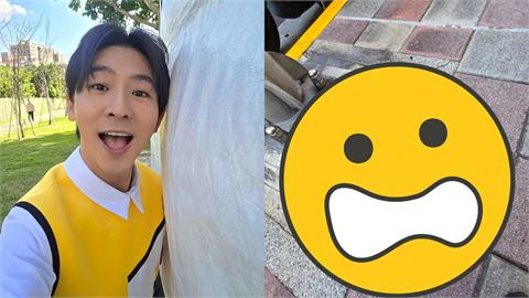 「最傻眼路殺！」秀朗橋下驚見藍腹鷴屍體　柳丁哥哥嘆：這次救援是人生最難忘