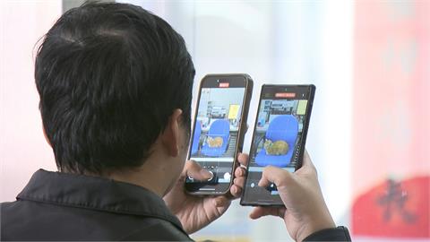 高捷蜜柑站長太夯！！　日本鐵道公司邀蜜柑「赴日修業」