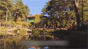 作法？台中福壽山天池見進香團沿途灑米臉譜畫八家將...網友群起撻伐 廟方致歉了