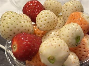 快新聞／抽驗草莓甜點「9成檢出農藥殘留」　消基會：應改進檢驗方式