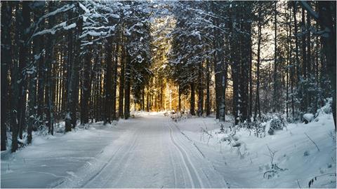 全台「氣溫大變天」手腳冷到睡不著…醫教「4招」暖身法：促進血液循環！