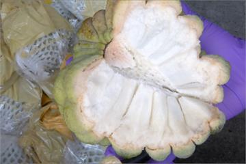 天氣熱太快熟 台東釋迦產量少20%