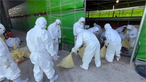 中市府圖卡列「南部縣市禽流感」　　綠議員質疑轉移焦點