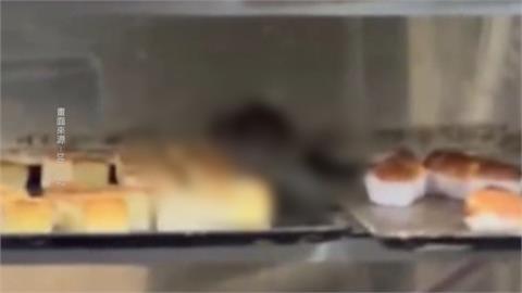 嚇！三重一麵包店老鼠爬到架上　麵包上頭爬竄啃食