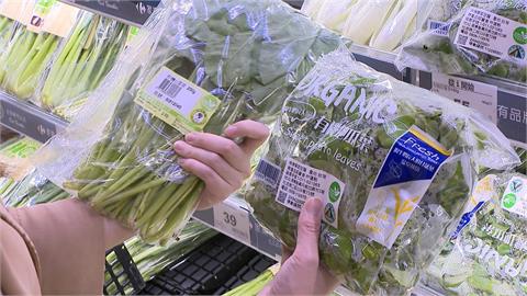 菜價波動走高　北農8/15起供應平穩價格蔬菜