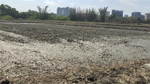 農民「乾」著急　新竹農業灌溉兩大水源　頭前溪、鳳山溪缺水