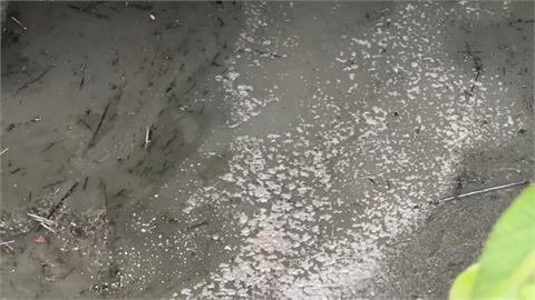 正方倉儲、國光客運保修廠排廢水 基隆市府:非自來水污染元凶