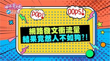 《姊妹亮起來》SAM老師網路PO文衝流量 網友關注的卻是「牠」？