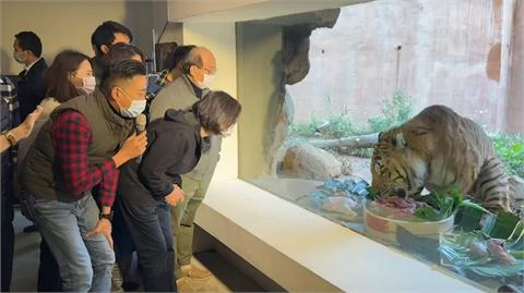 快新聞／小英總統、林智堅春節慰問動物園員工　與老虎兄弟「六福」、「來福」同框合照