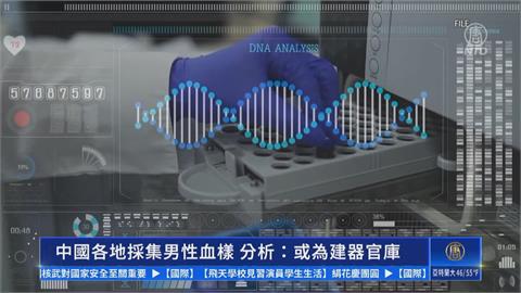 中國再爆器官移植爭議！　四川採集全縣男性血樣引擔憂