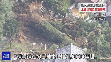 日本暴雨將持續至14號 岐阜千年神木不支倒塌