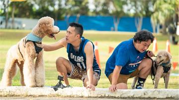 余祥銓虧余天愛犬不受控!吳姍儒當場被撞脛骨 哀嚎「感覺骨頭都快碎裂了」!