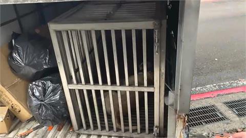 快新聞／基隆郵差遭惡犬咬斷指　中華郵政發聲了