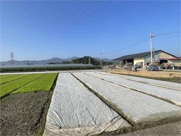 寒流將近　高市農業局籲加強農作防寒措施