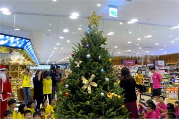 超市引進美國聖誕樹 營造歐式耶誕風情