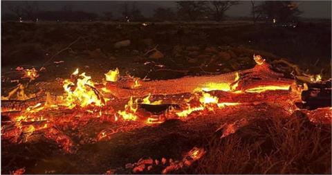 快新聞／隔63年來最大天然災害！   夏威夷毛伊島野火肆虐累積80死