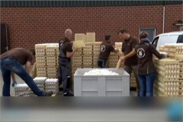 歐洲毒雞蛋風波如滾雪球 荷蘭檢方已逮捕2名負責人