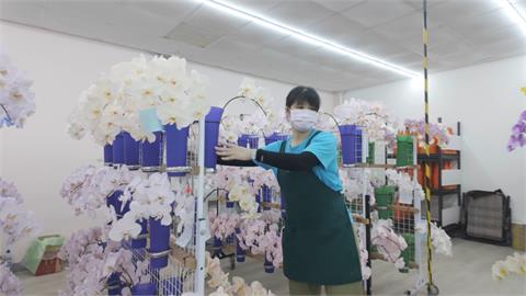 異言堂(影)／川普關稅海嘯來了   台灣蘭花業者憂心忡忡