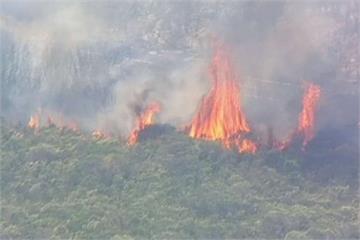 雪梨近郊野火狂燒 當局緊急疏散上千遊客