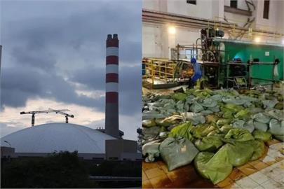 水母入侵中國發電廠「8天撈10萬公斤」　員工崩潰：根本撈不完！