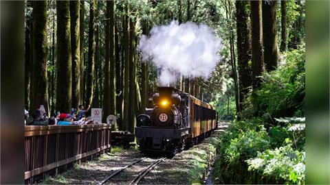 暑假限定開跑！阿里山蒸汽火車遊程錯過不再