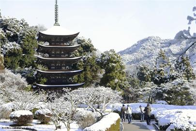 紐約時報公布2024年　日本「這裡」入選全球最值得去觀光目的地