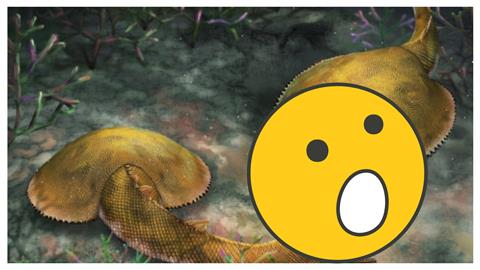4.1億年上古化石拼圖完成！廣西「九尾狐甲魚」完整面貌大曝光
