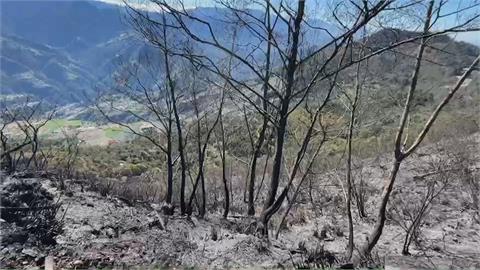 合歡山翠峰路段大火延燒一天　陸空聯手灌救