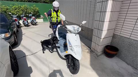 警犬Lucky立大功！　2車手遭狂吠趴地求饒