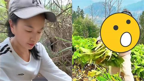 中配小微「遭遣返10個月」再吞鐵拳？「割菜餵豬」認了：被傷得體無完膚…