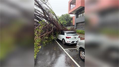 快新聞／豪雨狂炸！北市大同昌吉街路樹倒塌　直砸1車畫面曝