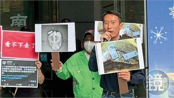 【動保虐貓黑幕多2】合作獸醫治療烏龜爆爭議　處長楊淑方竟洩漏陳情人電話