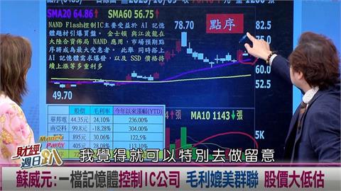 週日趴(影)／蘇威元:一檔記憶體控制IC公司 毛利媲美群聯 股價大低估